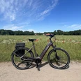 Fahrrad Ein modernes E-Bike steht auf einem Feldweg vor einer blühenden Wiese und klarem, blauem Himmel.