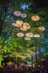 Appletree Garden Festival.jpg Menschen feiern beim appletree garden festival