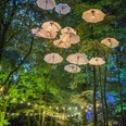 Appletree Garden Festival.jpg Menschen feiern beim appletree garden festival