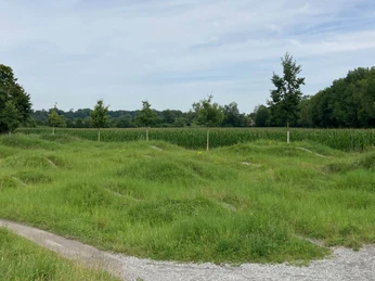 BMX-Park | Borchen BMX-Park | Borchen