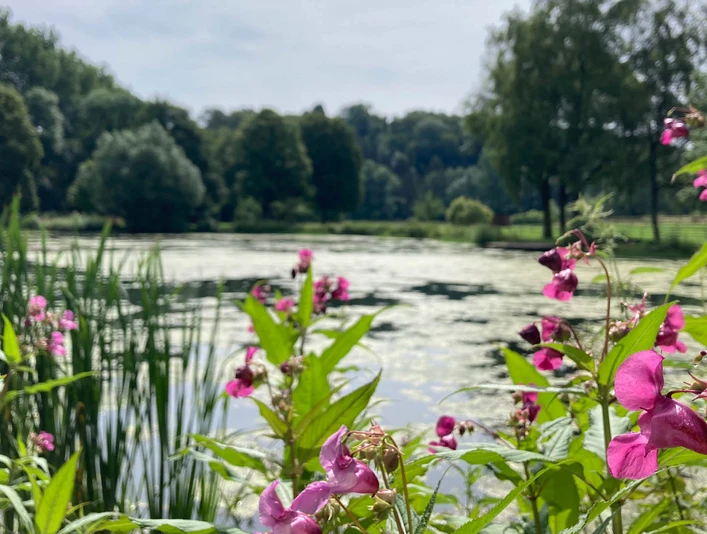 Paddelteich | Borchen-Etteln Paddelteich | Borchen-Etteln
