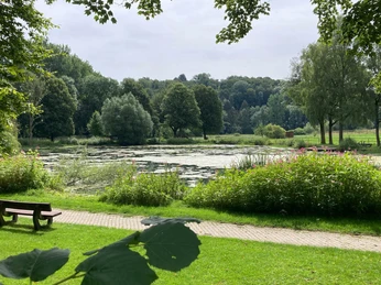 Paddelteich | Borchen-Etteln