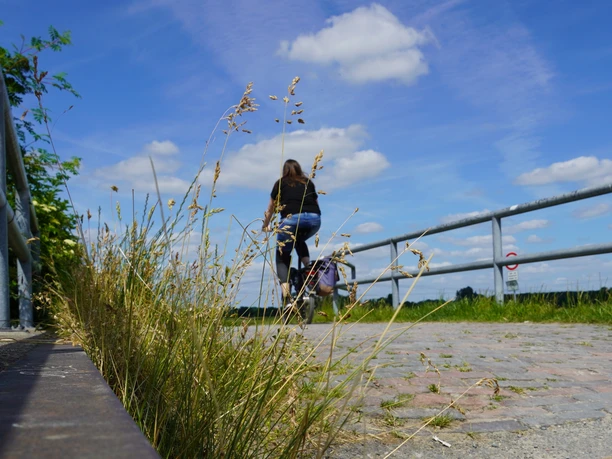 Über die Wörpe Eine Radfahrerin von hinten, die über eine Brücke fährt.