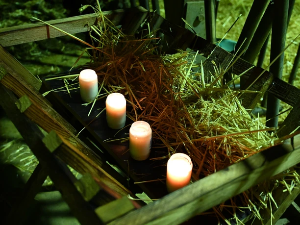 Weihnachten im Stall
