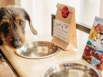 Torfhaus Harzresort - Dackel Torfhaus Harzresort - Dackel