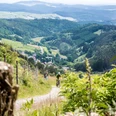 Sauerland MTB