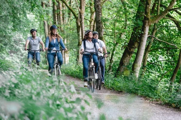 bad-driburg-radfahren-bad-driburger-touristik-gmbh-daniel-winkler-5.JPG Radfahrergruppe auf einem Waldweg, umgeben von hohen Bäumen, sonnig und naturverbunden.