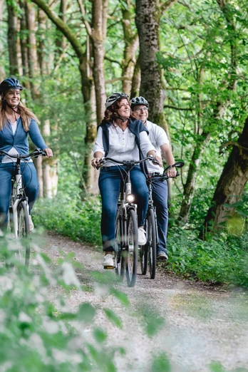 bad-driburg-radfahren-bad-driburger-touristik-gmbh-daniel-winkler-5.JPG Radfahrergruppe auf einem Waldweg, umgeben von hohen Bäumen, sonnig und naturverbunden.