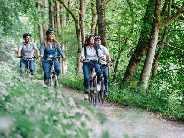 bad-driburg-radfahren-bad-driburger-touristik-gmbh-daniel-winkler-5.JPG Radfahrergruppe auf einem Waldweg, umgeben von hohen Bäumen, sonnig und naturverbunden.