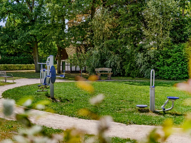 Ein grüner Park mit Outdoor-Fitnessgeräten, ein Gehweg führt vorbei, Bänke und Bäume im Hintergrund.