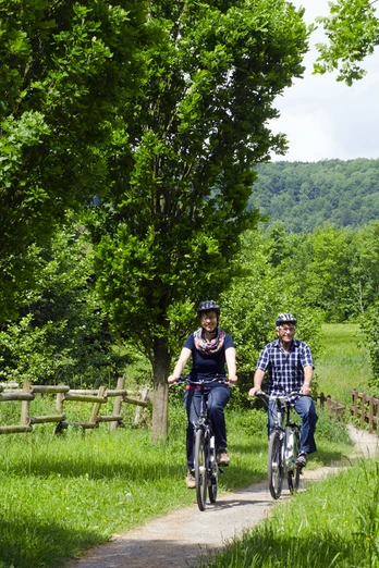Zwei Personen fahren mit Fahrrädern auf einem grünen Waldweg, umgeben von Bäumen und Wiese.