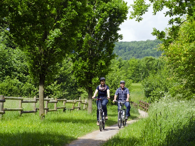 Zwei Personen fahren mit Fahrrädern auf einem grünen Waldweg, umgeben von Bäumen und Wiese.