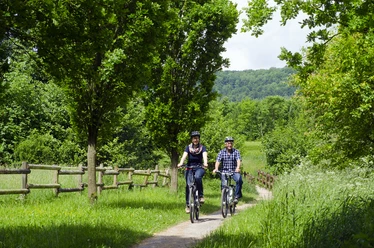_DSC0773.jpg Zwei Personen fahren mit Fahrrädern auf einem grünen Waldweg, umgeben von Bäumen und Wiese.