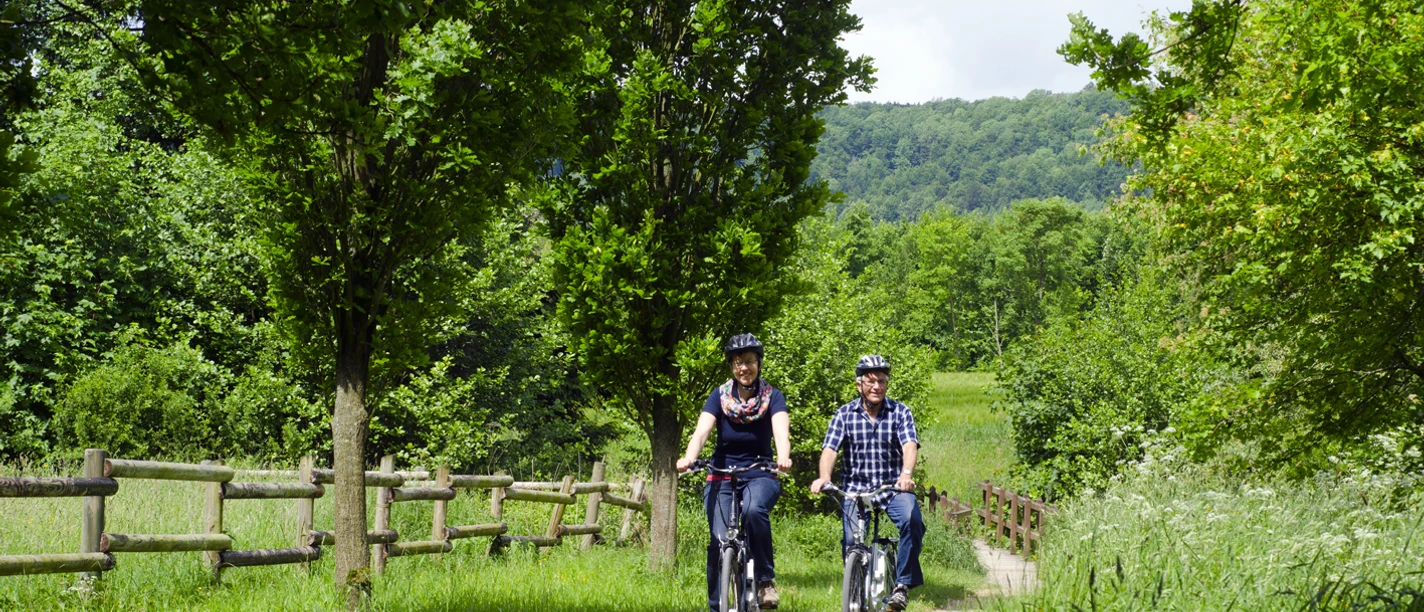 _DSC0773.jpg Zwei Personen fahren mit Fahrrädern auf einem grünen Waldweg, umgeben von Bäumen und Wiese.