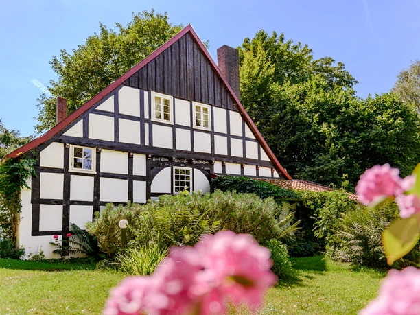 _BBB7459.jpeg Fachwerkhaus mit weißer Fassade und dunklen Balken, umgeben von üppigem Grün und rosa Blumen.