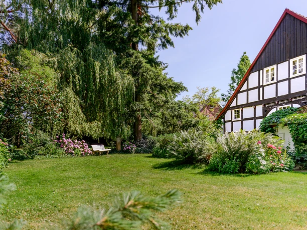 _BBB7484.jpeg Fachwerkhaus mit blühenden Sträuchern im Garten, flankiert von hohen Bäumen und einem Weidenbaum.