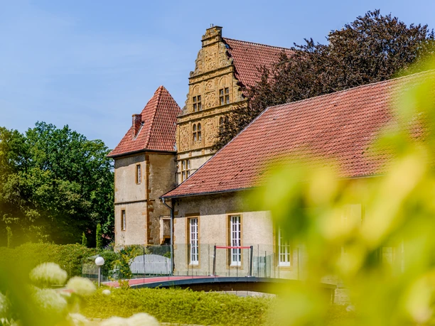 Historische Burg mit rotem Ziegeldach umgeben von üppigem Grün, prunkvoller Renaissance-Giebel.