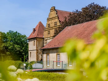 _BBB7000.jpeg Historische Burg mit rotem Ziegeldach umgeben von üppigem Grün, prunkvoller Renaissance-Giebel.