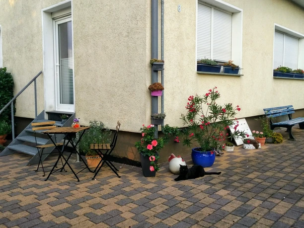 Ein gepflasterter Hauseingang mit Gartenmöbeln, Blumenkübeln und einer schwarzen Katze im Vordergrund.