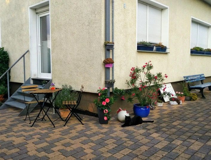 Ein gepflasterter Hauseingang mit Gartenmöbeln, Blumenkübeln und einer schwarzen Katze im Vordergrund.