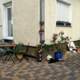 Eingangsbereich.jpg Ein gepflasterter Hauseingang mit Gartenmöbeln, Blumenkübeln und einer schwarzen Katze im Vordergrund.