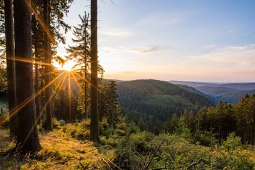 Aussicht am Rothaarsteig (c) Rothaarsteigverein e.V._Klaus-Peter Kappest.jpg