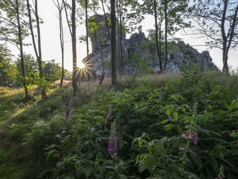 bruchhauser-steine c) Klaus-Peter Kappest Tourismus Brilon Olsberg GmbH CC-BY-SA.jpg