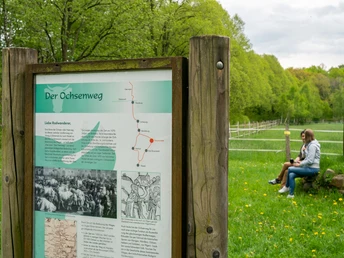 Infotafel Ochsenweg