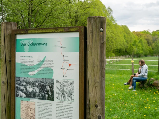 Infotafel Ochsenweg