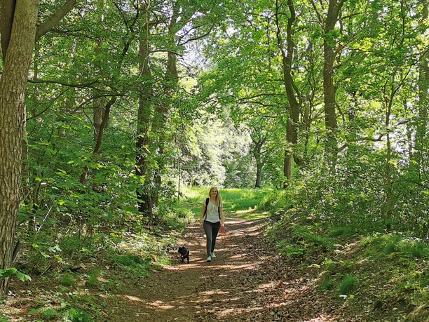 Am Fischteich vorbei Richtung Klevehang