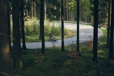 rennraderfahrer-wald c) Paul Masukowitz Sauerland-Tourismus.jpg