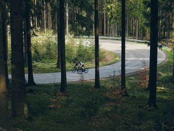 rennraderfahrer-wald c) Paul Masukowitz Sauerland-Tourismus.jpg
