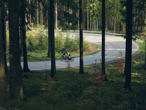 rennraderfahrer-wald c) Paul Masukowitz Sauerland-Tourismus.jpg