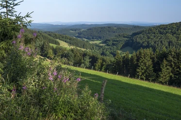blick-ins-sauerland_c_klaus-peter-kappest-sauerland-wanderdoerfer.jpg