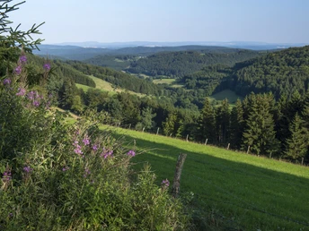 blick-ins-sauerland_c_klaus-peter-kappest-sauerland-wanderdoerfer.jpg
