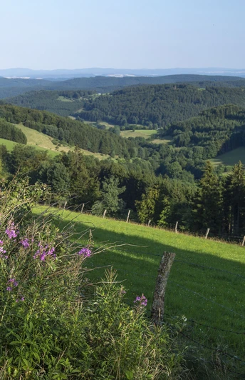 blick-ins-sauerland_c_klaus-peter-kappest-sauerland-wanderdoerfer.jpg