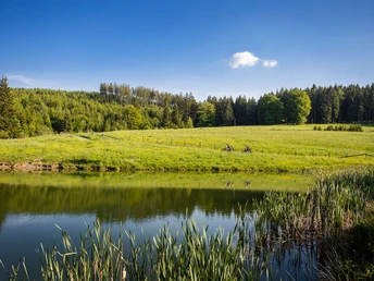 mtb-kinder-see-natur c) sabrinity Sauerland-Tourismus.jpg