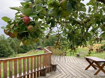 Grandmühle Museum | Bad Wünnenberg