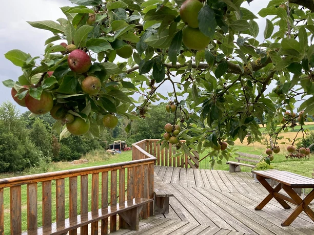 Grandmühle Museum | Bad Wünnenberg