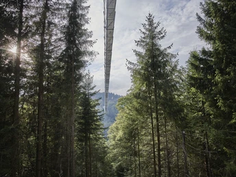 Skywalk Willingen Skywalk Willingen