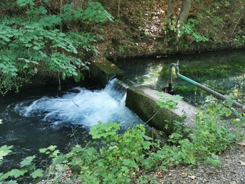Baulauf Almequellen brinlon an der Sauerland-Waldroute