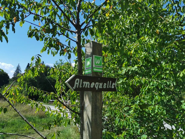 Wegweiser Brilon Almequellen - Sauerland-Waldroute