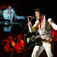 Elvis.jfif
