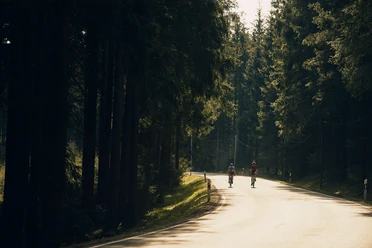 Rennrad im Sauerland