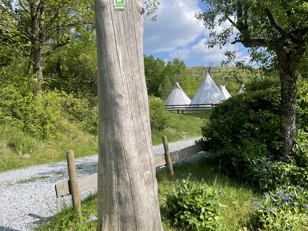Tipizelte an der Sauerland-Waldroute