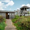 Holzpfad führt zu einer Beobachtungsplattform im grünen Oppenweher Moor unter blauem Himmel.