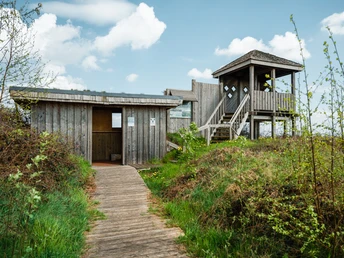 Holzpfad führt zu einer Beobachtungsplattform im grünen Oppenweher Moor unter blauem Himmel.