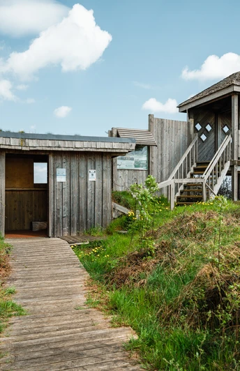 Holzpfad führt zu einer Beobachtungsplattform im grünen Oppenweher Moor unter blauem Himmel.