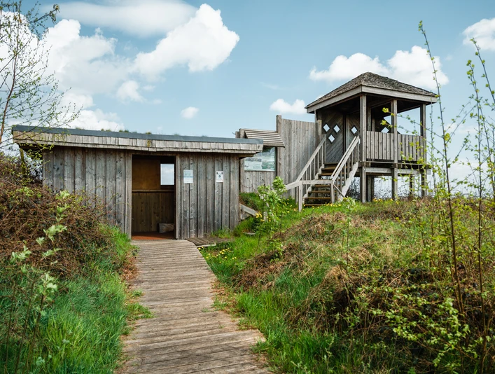 Holzpfad führt zu einer Beobachtungsplattform im grünen Oppenweher Moor unter blauem Himmel.