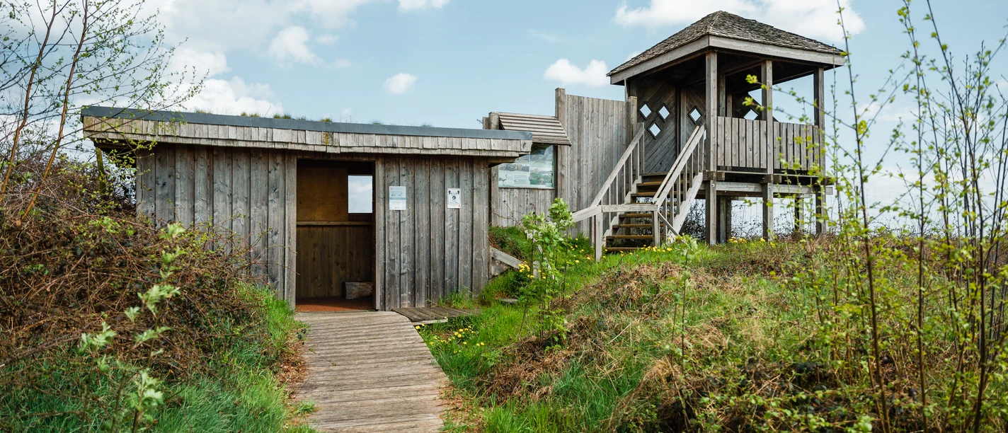 Oppenweher Moor Holzpfad führt zu einer Beobachtungsplattform im grünen Oppenweher Moor unter blauem Himmel.